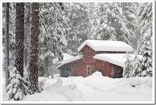 121223_snow_007