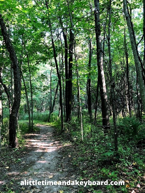 The forest enveloped us as we hiked along the Ice Age Trail in Janesville.