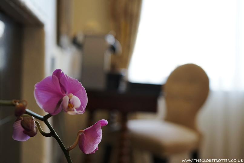 Orchid flower in our room at the Macdonald Bear Hotel