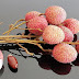  Healthy lychee fruit / lichi Season.