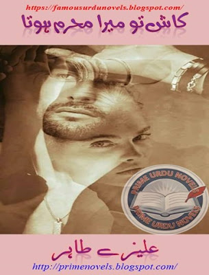 Kash tu mera mehram hota novel by Aleezy Tahir Complete pdf