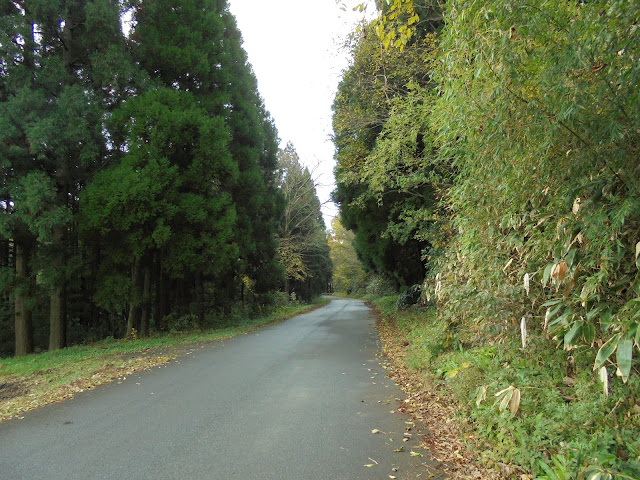 坊領道の方へ向かいます