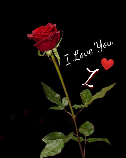 A to Z Alphabets Red Rose HD Pic with I Love U Download