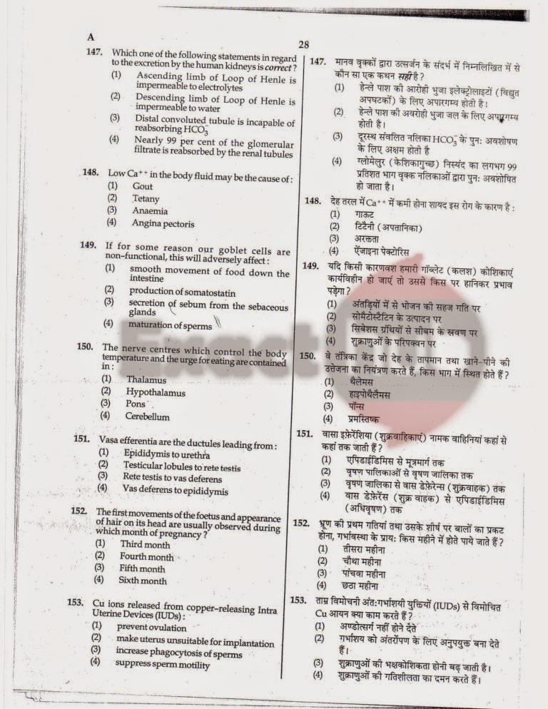 AIPMT 2010 Exam Question Paper Page 28