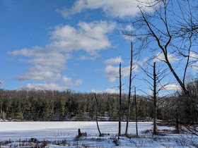 McCarthy Lake