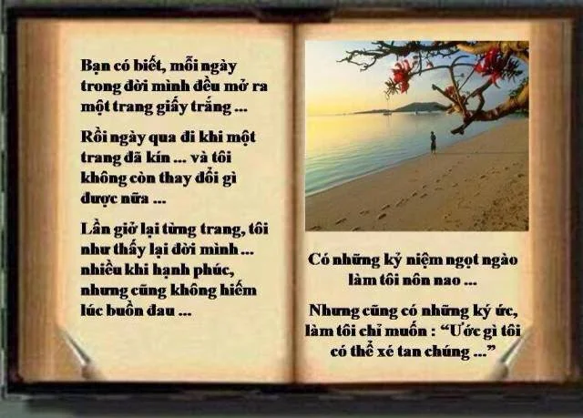 Cuốn sách ý nghĩa nói về cuộc sống của bạn