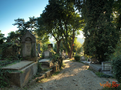 Cimitir Sighisoara