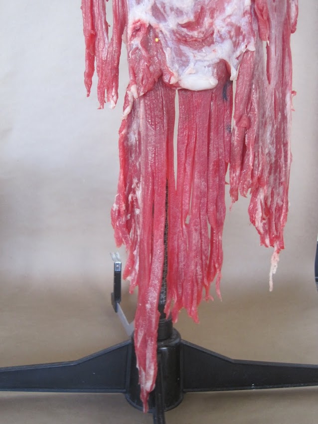 was lady gaga meat dress real. Lady Gaga REAL Meat Dress