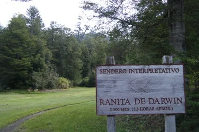 DSCF0642