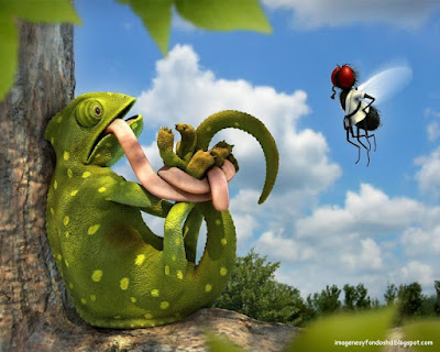 camaleon-mosca-comico-gracioso-chistoso-3d-hd-fondos-wallpaper