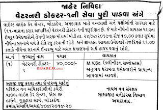 Jobs RIJADEJA.com