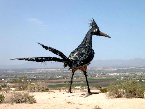 The Road Runner