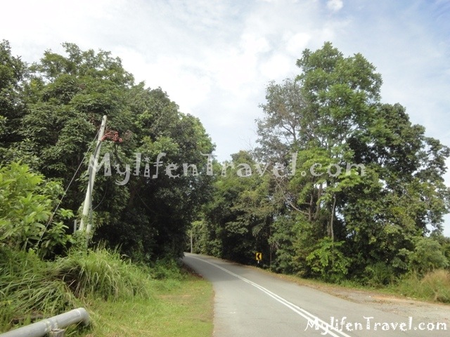 Gunung Jerai Hiking 7