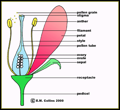 Biology 10: August 2013