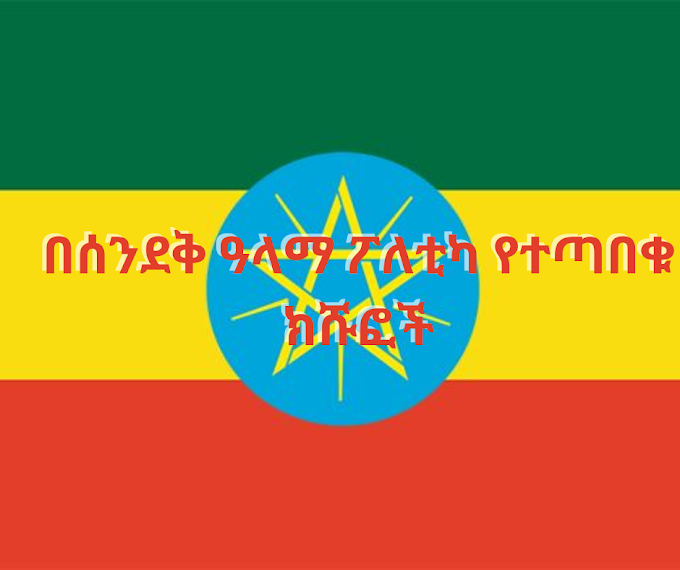  በሰንደቅ ዓላማ ፖለቲካ የተጣበቁ ክሹፎች