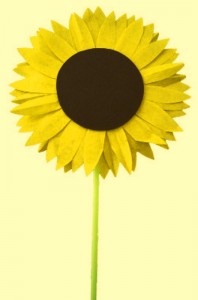 Membuat Kerajinan bunga Matahari  ide kreatif