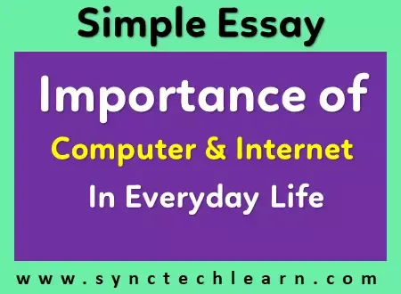 essay on role of computer and internet in everyday life