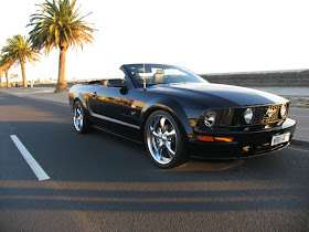 Black Mustang