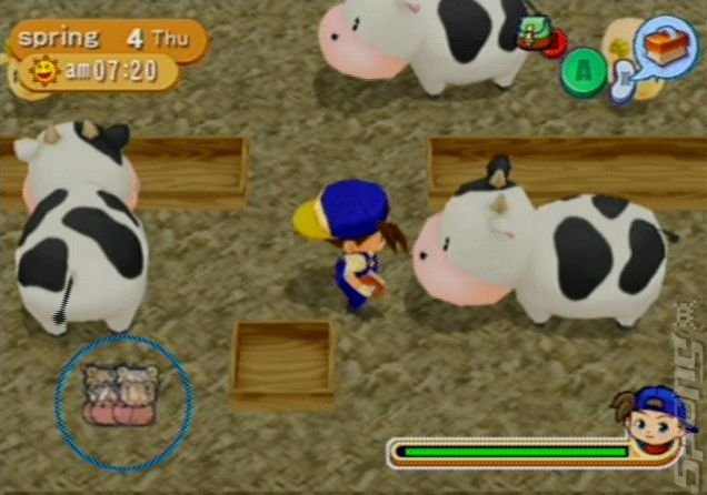 Free Download Game Harvest Moon Magical Melody Gamecube ...