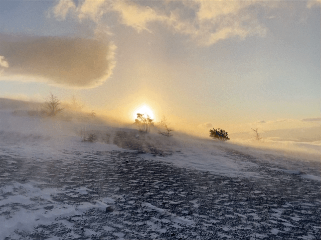 windswept snow on Koasama