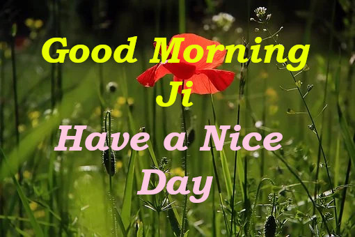 Latest Best Good Morning Wishes.