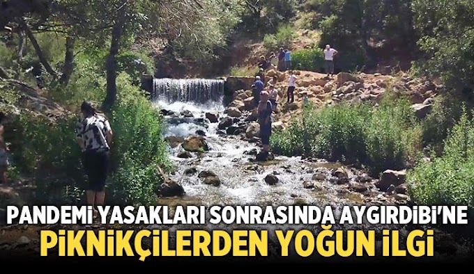 Pandemi yasakları sonrasında Aygırdibine piknikçilerden yoğun ilgi