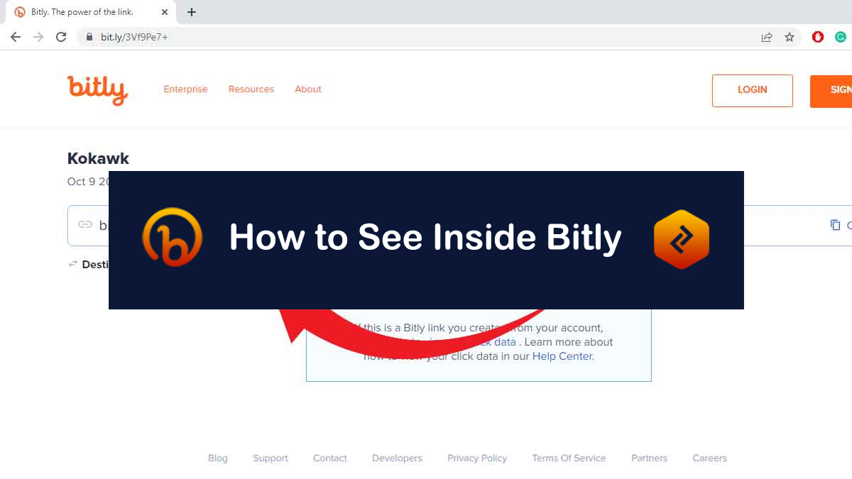 see inside bitly link using + sign after the code