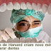 Cientista de Havard criam novo metodo para regenerar dentes