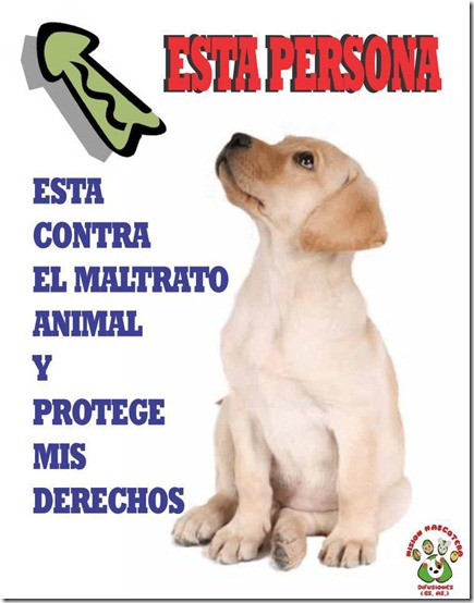 frases humor facebook (1)