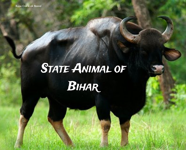 Bihar's state animal Gaur/Bull