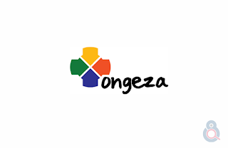 Wholesales Manager, Job Opportunity at ONGEZA Tanzania Limited