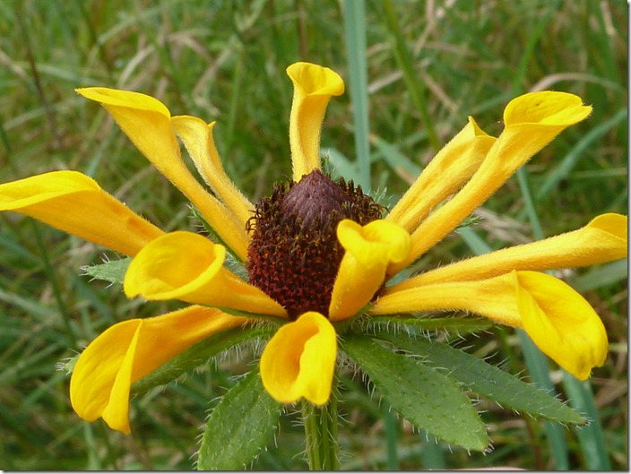 P1120456