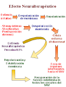 Terapia Neural