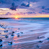 Sea Shore Beach Wallpaper