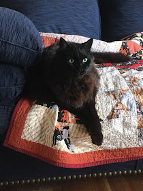 large black cat on a quilt on a couch