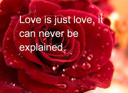  latest hd images of love quotes rose free download 20