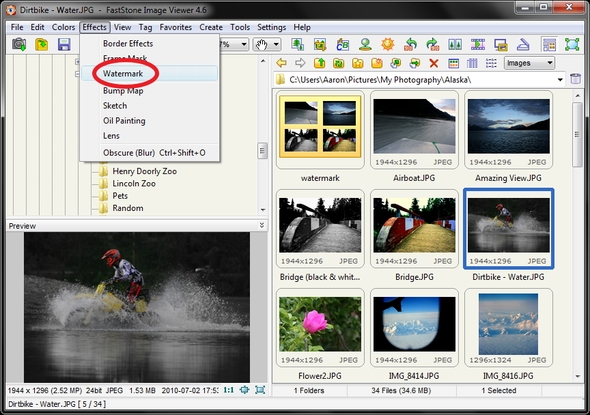 FastStone Image Viewer