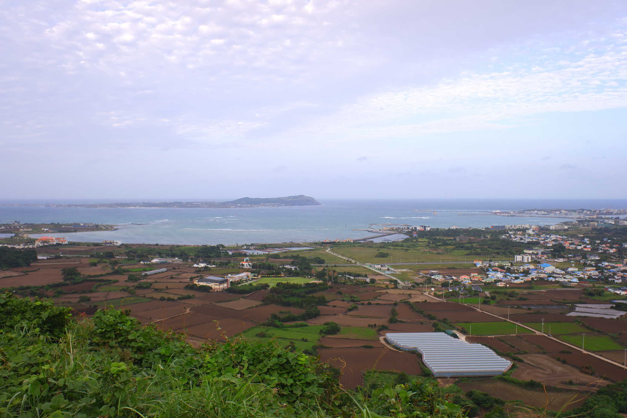 jeju