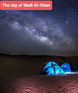 Camping and safari in Wadi El Hitan سماء وادي الحيتان ليلا     معلومات عن وادي الحيتان All we need to know about Wadi Al-Hitan