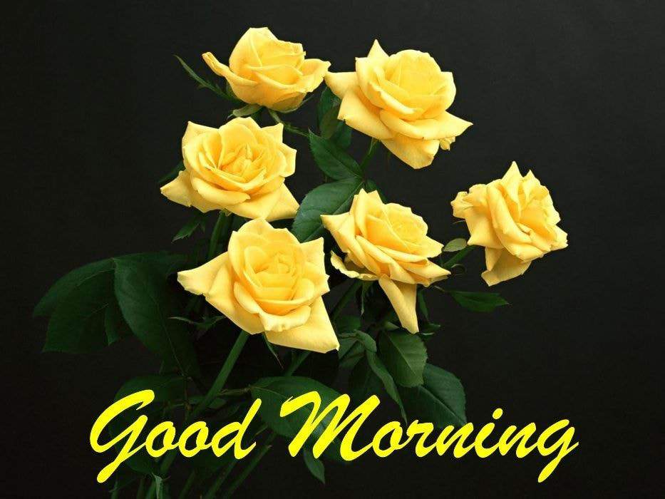 Good Morning flower Wishes for Instagram