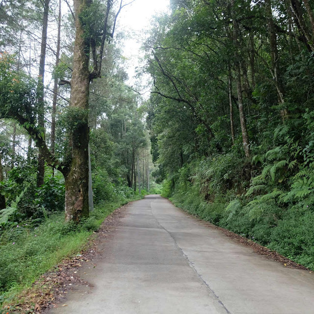 Telaga sidringo, sidringo, batang, visit jawa tengah, lomba blog visit jateng