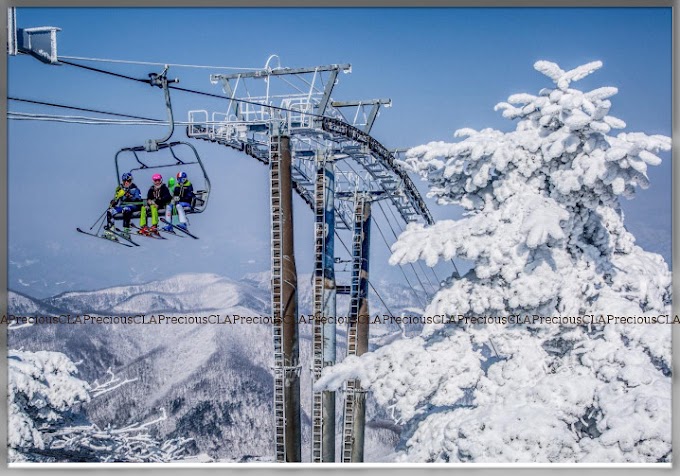 Gangwon Korea : Top Winter Destination And Ski Resort In Korea