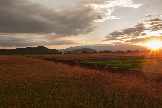 20130612-_DSC8290