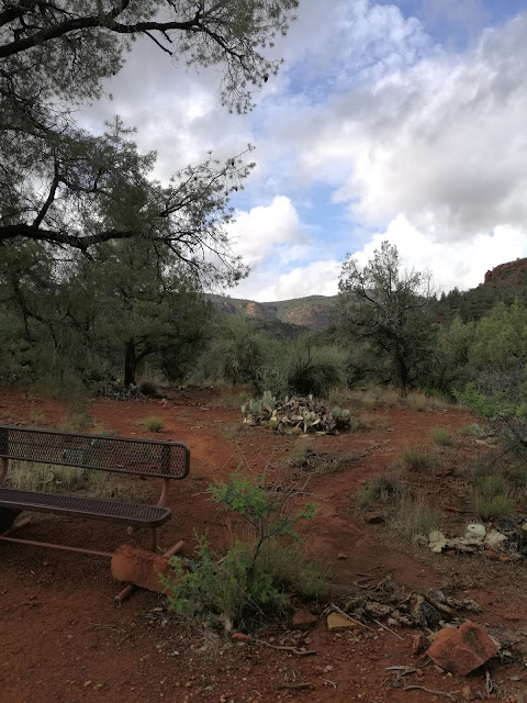 Chaparral vegetation on reddish soil