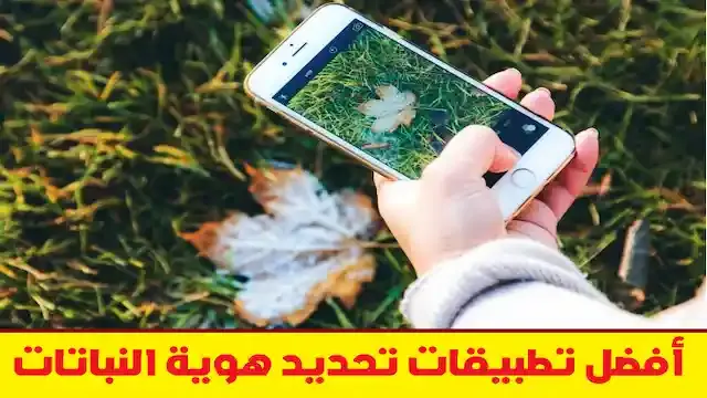 أفضل 5 تطبيقات لتحديد هوية النباتات للأندرويد والآيفون - علم الكل