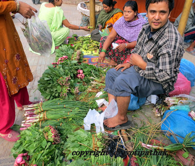 Green Leafy Vegetables Nepal