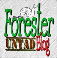 buat logo dengan situs online ~ forester untad blog