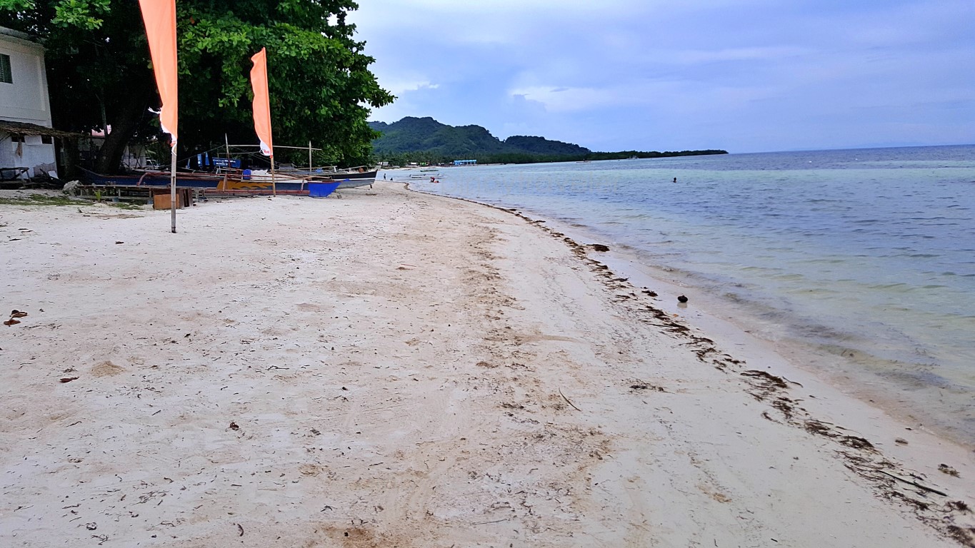 left hand view of fine white sand at Quinale Beach, Anda, Bohol