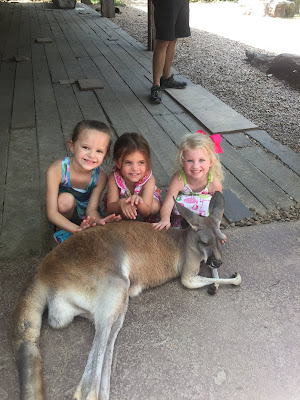 20 Summer Bucket List Activities - Your Guide to Summer Fun. Family fun activities to do in and around Huntsville and the North Alabama area. Nashville zoo kangaroo encounter. Go to the zoo