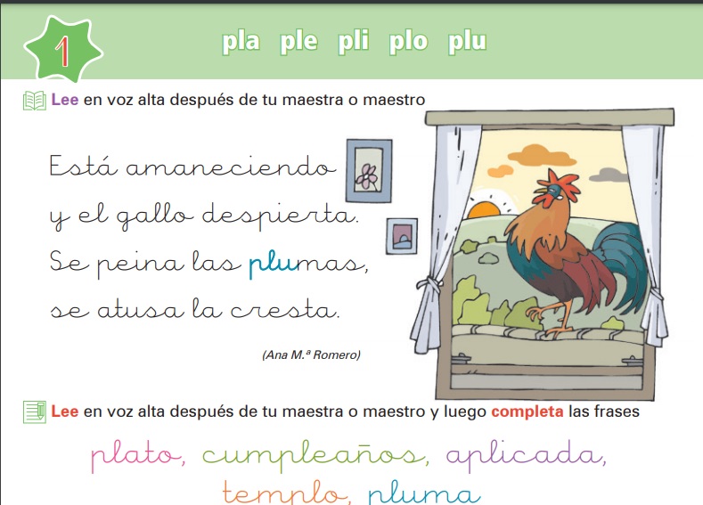 1º PRIMARIA ACTIVIDADES LA CALESA.